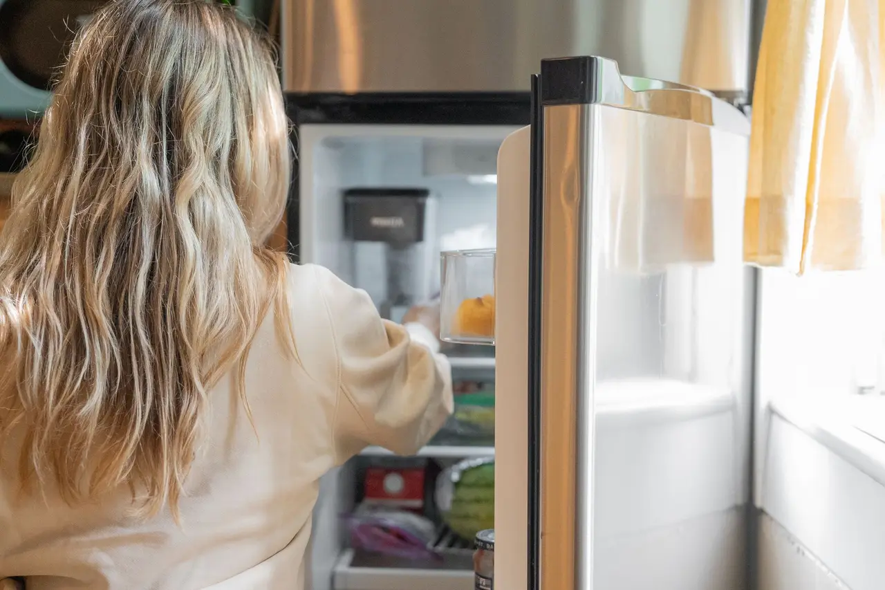 Refrigerator Refrigerant Leak Repair